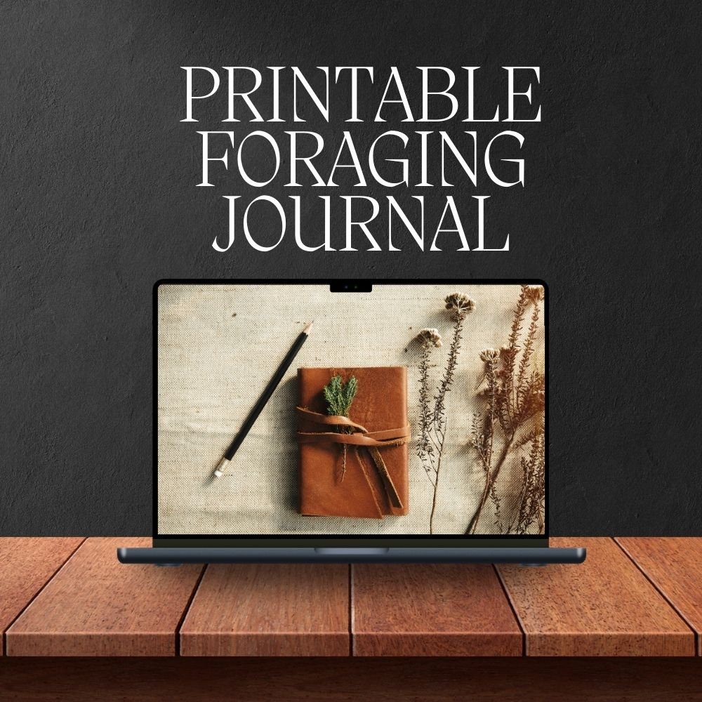 Foraging Journal 1 Foraging Journal